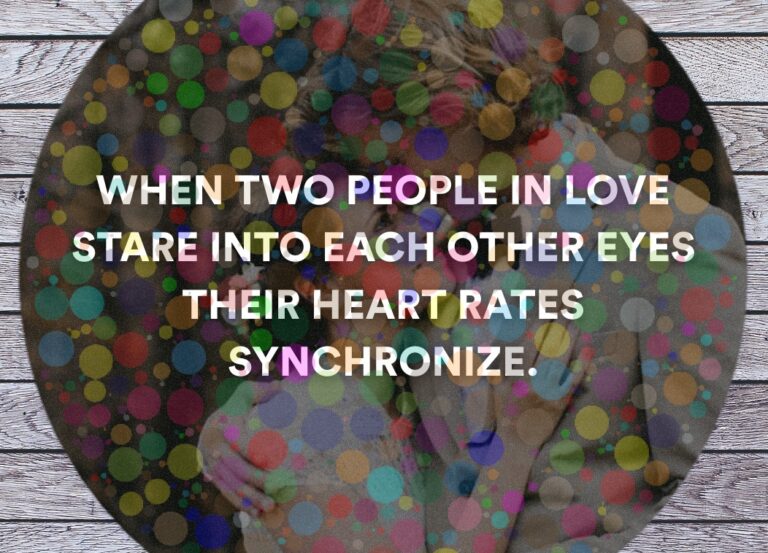 0a765aadbea600101afaec5ec335b043c