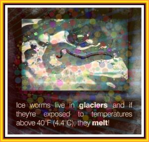 0b50befbb3d2d76b5802d7fde8f71456e