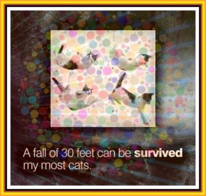 0bfeddeb860b8ad1a516a005530bd8c4e