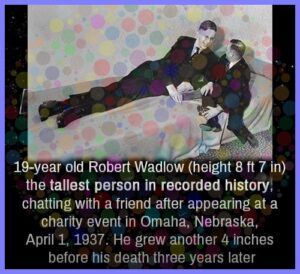 0c57fe3a5ddb1a337a8ebcb303648b8cb