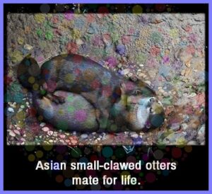 0ca82807531105fa65d2b76ed6c430a82