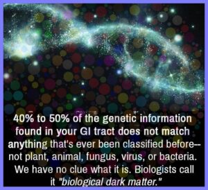 0cbb836b771704d252ad6e48258f238ad