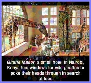 0cc82231f5a1bbdc737f116addb6aeb76