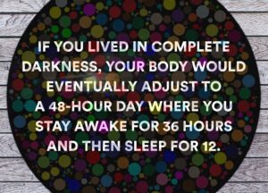 0d058e32cfedee20fa5ebaa3b08ebe375