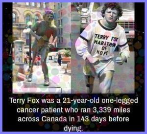 0d3f575a14a7ccf27ded40bc3fb21748e