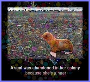 0d5c0f7d582cbe2652eee46213738f7f6