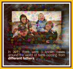 0d6a3e1dfcac4b3030406c3e2ded587c5