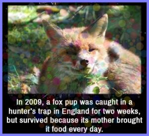 0d786cc58eae3dcf2552cdd0f334e646a