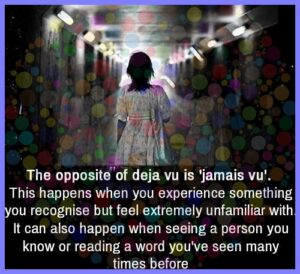 0dcdd6b8b3ba377244d2706a5f848fe5a