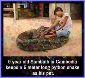 0dd64d7ede715fb47fadcdc1a870663dd