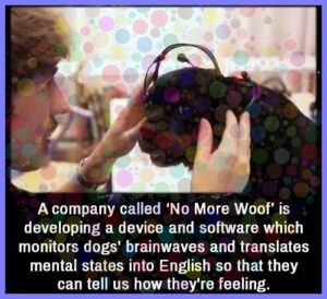 0e6d5605ae7a8aa6eef20e0b70ac3df23