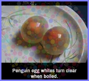 0ec1008a675a572b03c1f2e830ce2f6c4