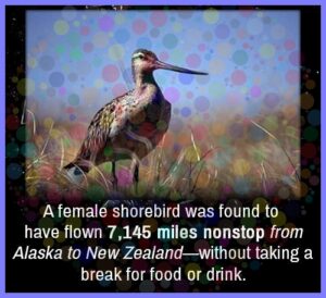 0ef148f544d8a3ca736d3be5b4c0c1360