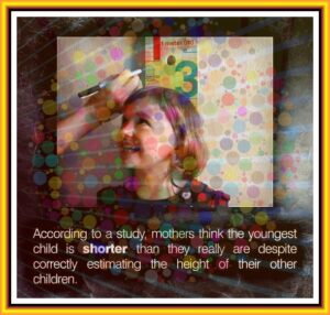 0f2f580762ffa46d5ca8ad66d08173440