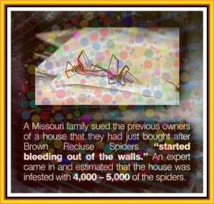 0faf371f178b75ee4083ba22eadd2afdb