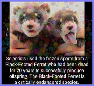 1a070ba11c54b77daa4a7e5ae180c30b5