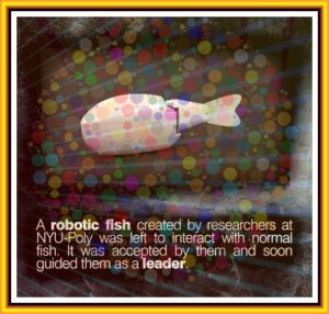 1a0dba1a827708b11a2d7bf0683888fba