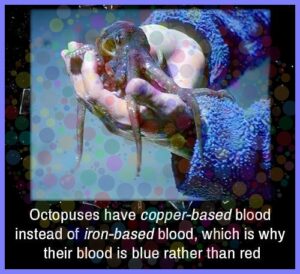 1a2f823511b52b0d34c072e4618ae6251