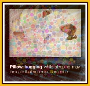 1a40abd8dedc3dd44564f71bf20ea2d4c