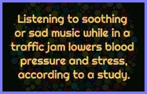 1cd5fb04e4338d70fc640852fd55e648f