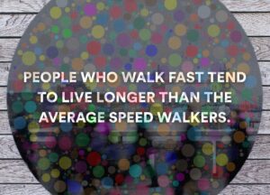 3a5845052deb7770d772b1a210fed466f