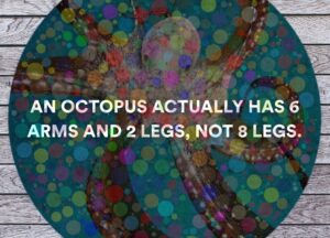 3bbee34a57ae542acf5b660525100f286